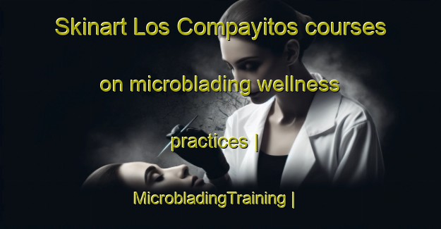 Skinart Los Compayitos courses on microblading wellness practices | MicrobladingTraining | MicrobladingClasses | SkinartTraining-Mexico